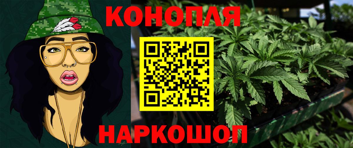 МАРИХУАНА планчик Губкин